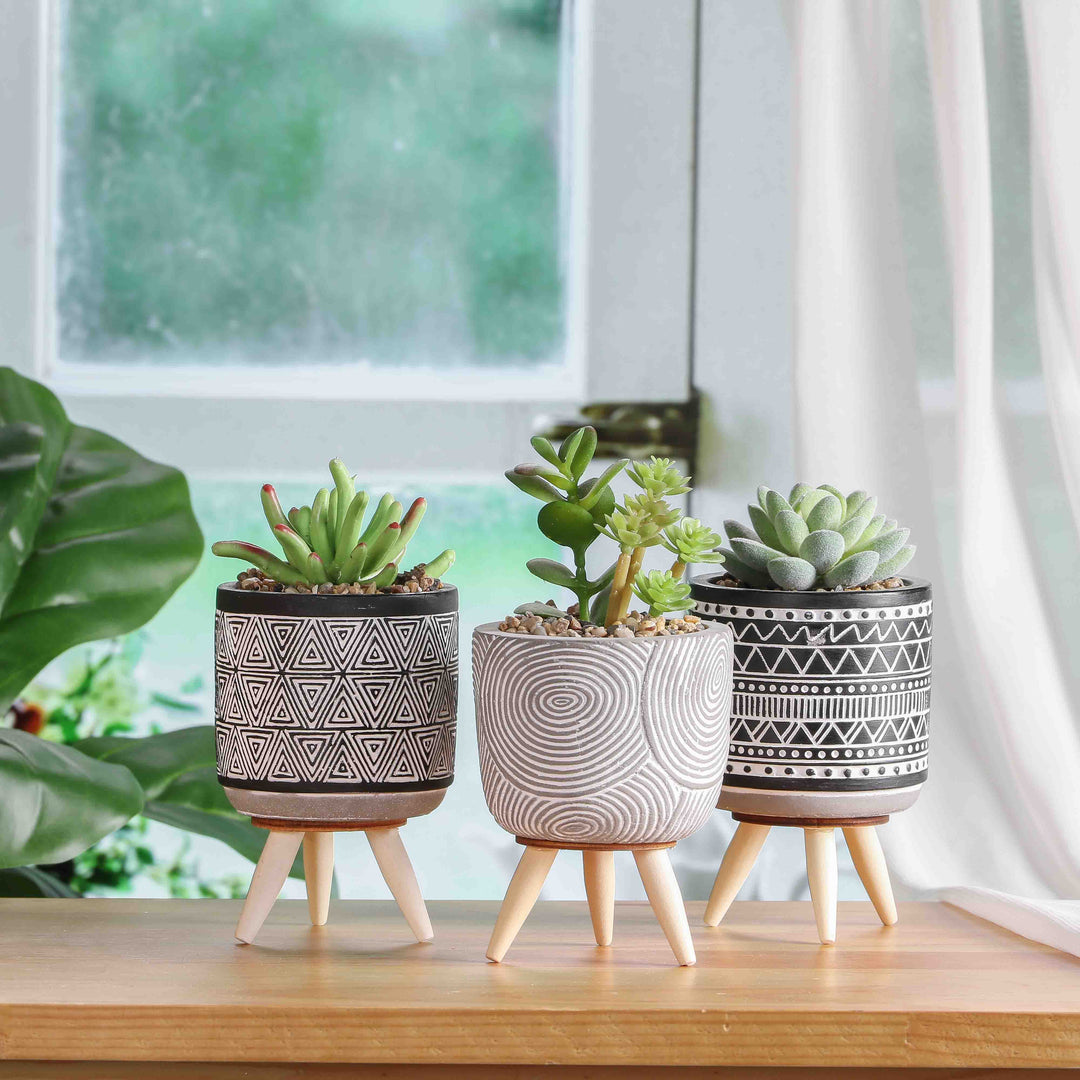 Planters Artificial Succulent Plant Pots (3Pc) - Living Simply House