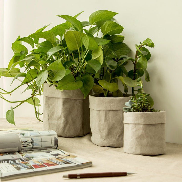 Planters Kraft Paper Planter - Living Simply House
