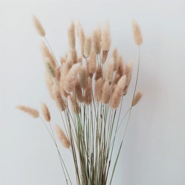 Accessories Natural Dried Flowers/Grass - Living Simply House