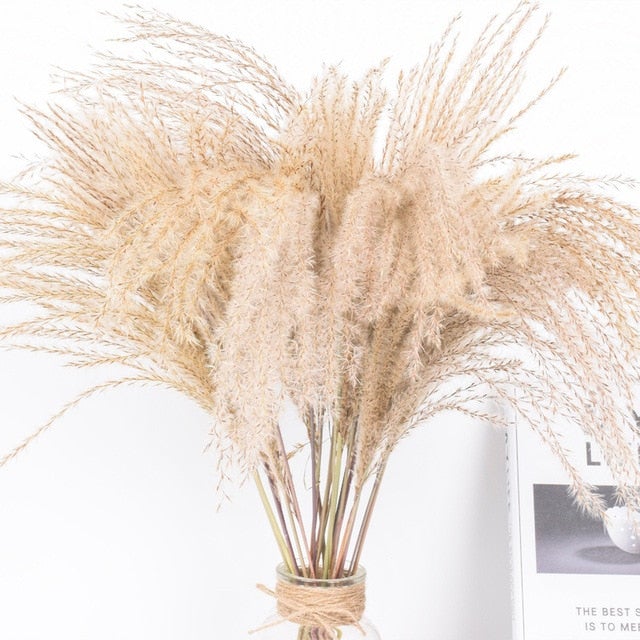 Accessories Natural Dried Flowers/Grass - Living Simply House