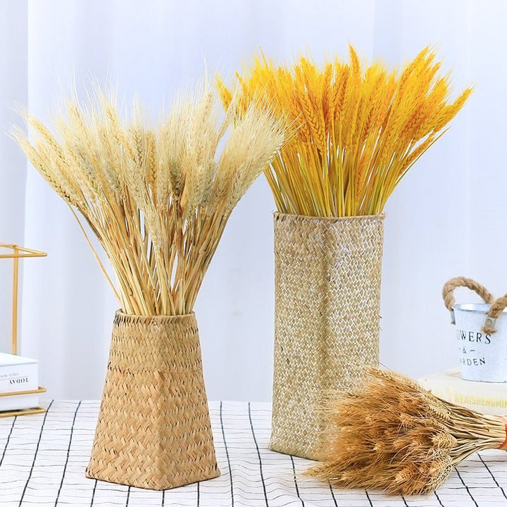 Accessories Natural Dried Wheat - Living Simply House