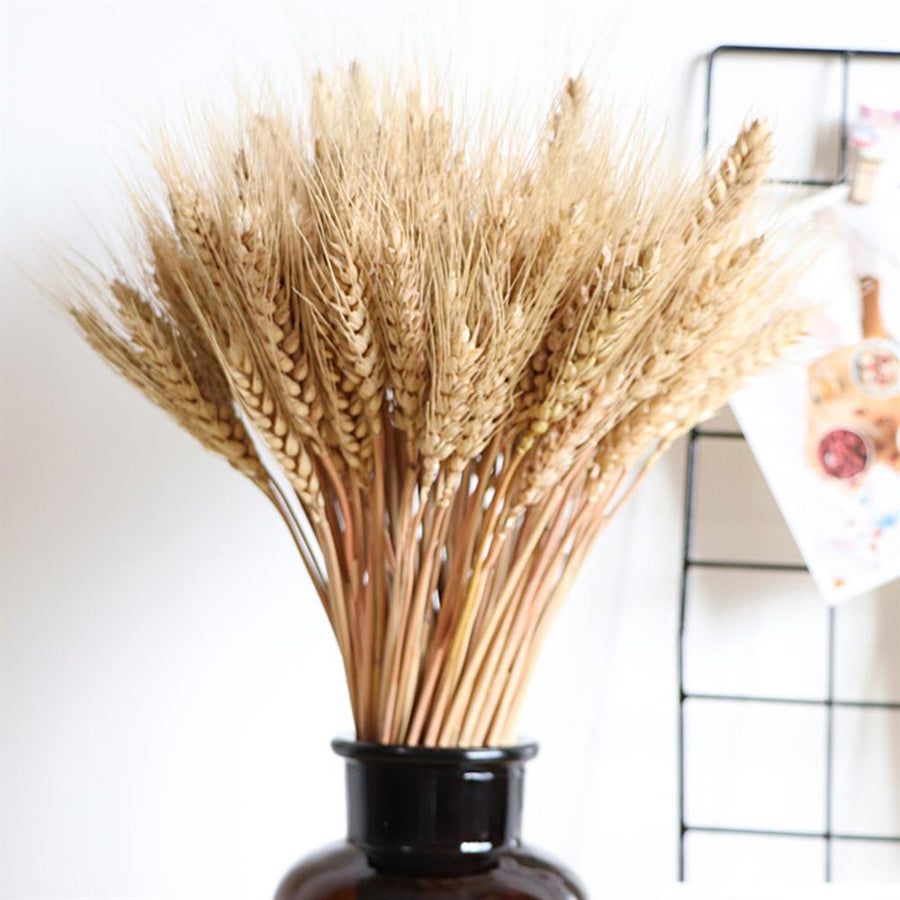 Accessories Natural Dried Wheat - Living Simply House